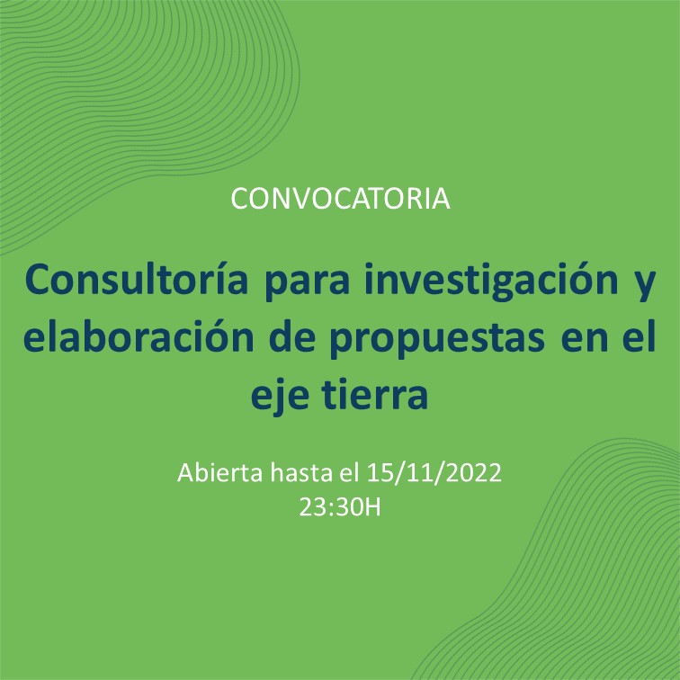 convocatoria para consultoría